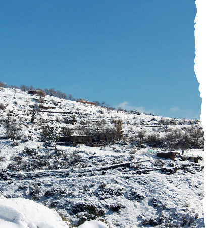 monte y cortijo nevados