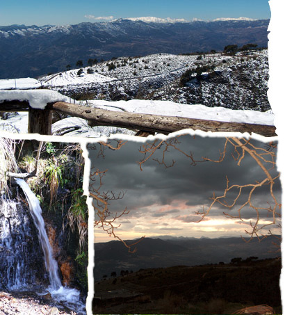 Vista de Sierra Nevada, el arroyo y las encinas